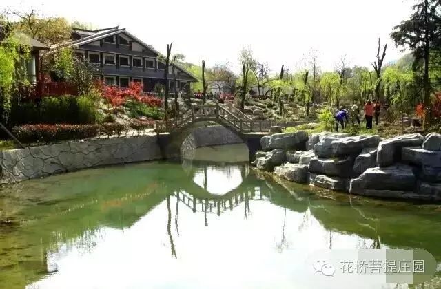 這個(gè)周末，隴南康縣花橋有大事要發(fā)生？