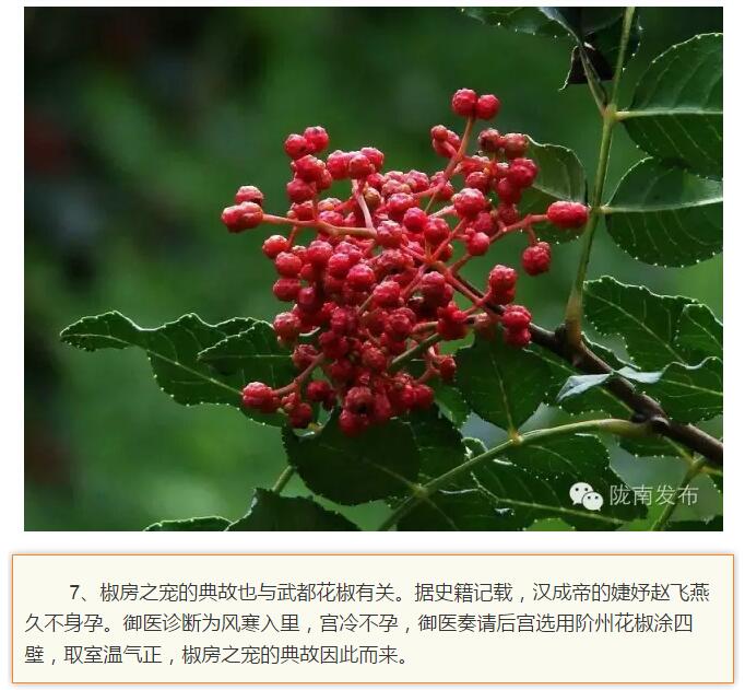 蘭渝鐵路最早由孫中山先生提出？在隴南，你不知道的事兒還有……