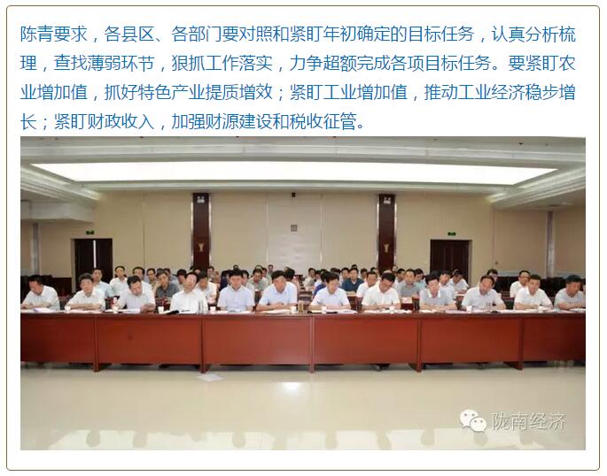 陳青在市政府全體會議上強調：緊盯一個目標抓好九大任務落實強化三項保障，確保全市經濟社會持續快速發展