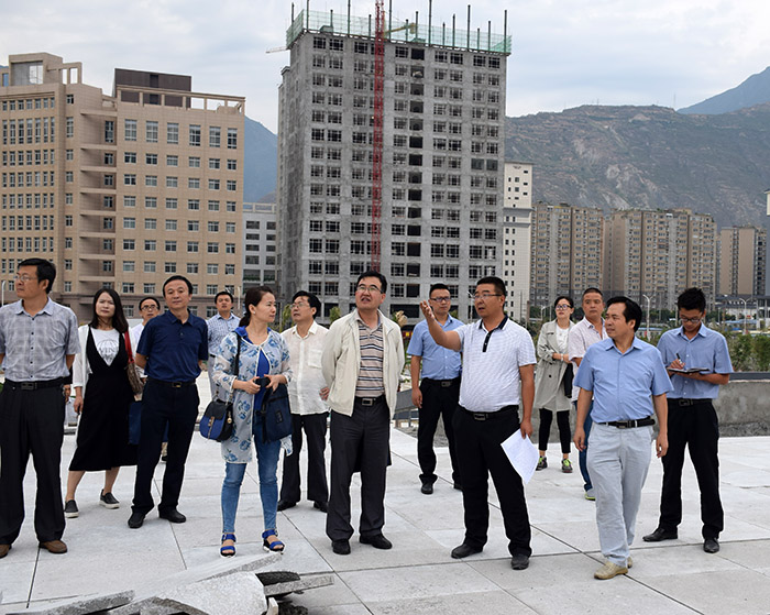 省、市聯合工作組蒞臨階州廣場檢查指導工作