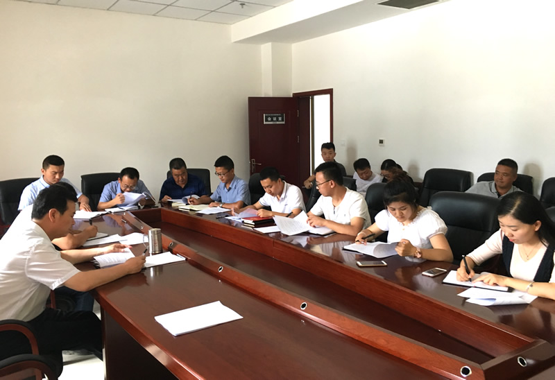 隴南市龍江城鄉發展集團公司召開第二次學習貫徹省第十三次黨代會精神會議