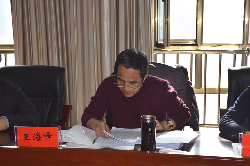 市龍江城鄉發展集團公司召開2017年度民主生活會