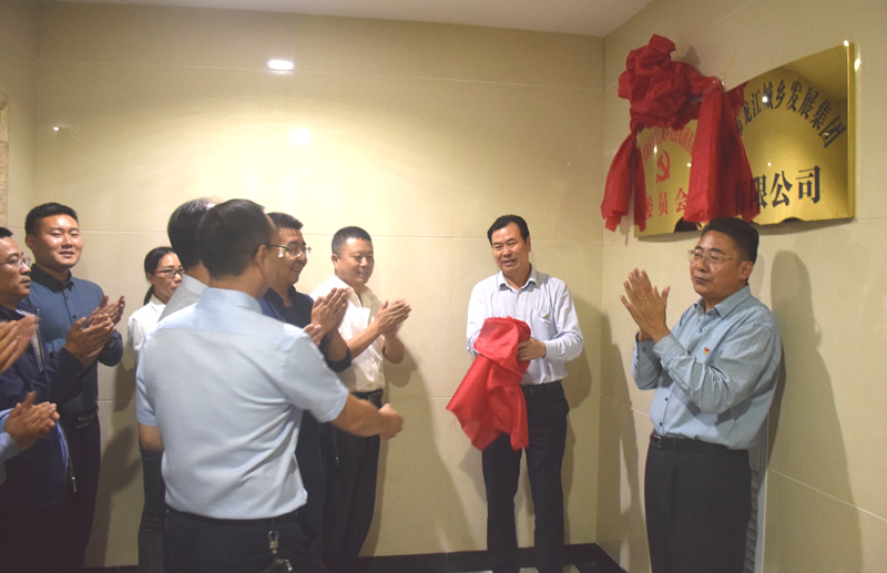 中國共產黨隴南市龍江城鄉發展集團有限公司委員會第一次黨員大會勝利召開