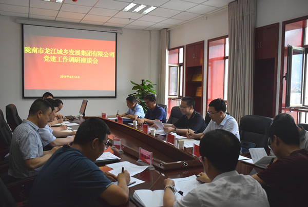 隴南市委常委、組織部部長楊郃調研指導市龍江城鄉發展集團公司黨建工作