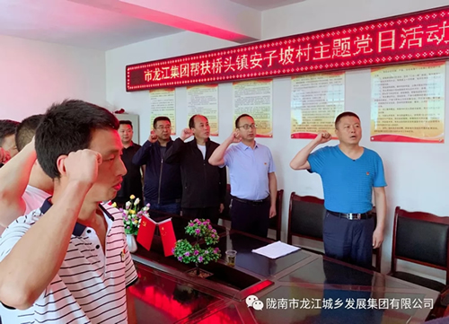 市龍江城鄉發展集團在橋頭鎮安子坡村積極開展幫扶主題實踐活動