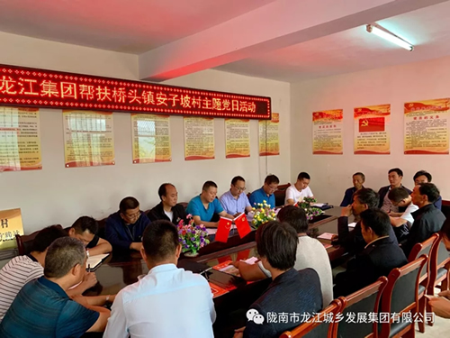 市龍江城鄉發展集團在橋頭鎮安子坡村積極開展幫扶主題實踐活動