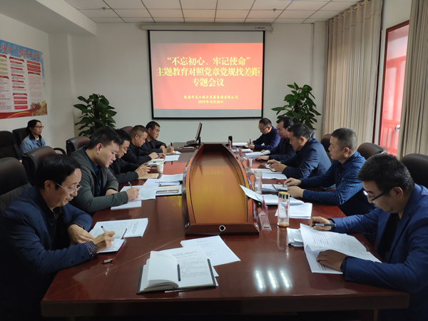 市龍江城鄉發展集團召開對照黨章黨規找差距專題會議