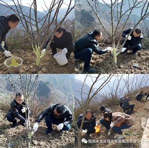 市龍江集團在文縣橋頭鎮安子坡村開展“解難題、辦實事、送溫暖”活動